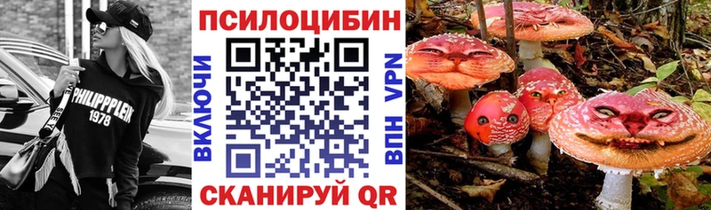 Псилоцибиновые грибы Cubensis Купить Каневская